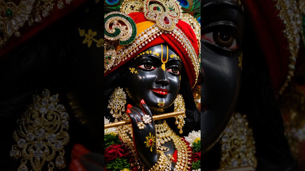 Banke bihari virandavan 