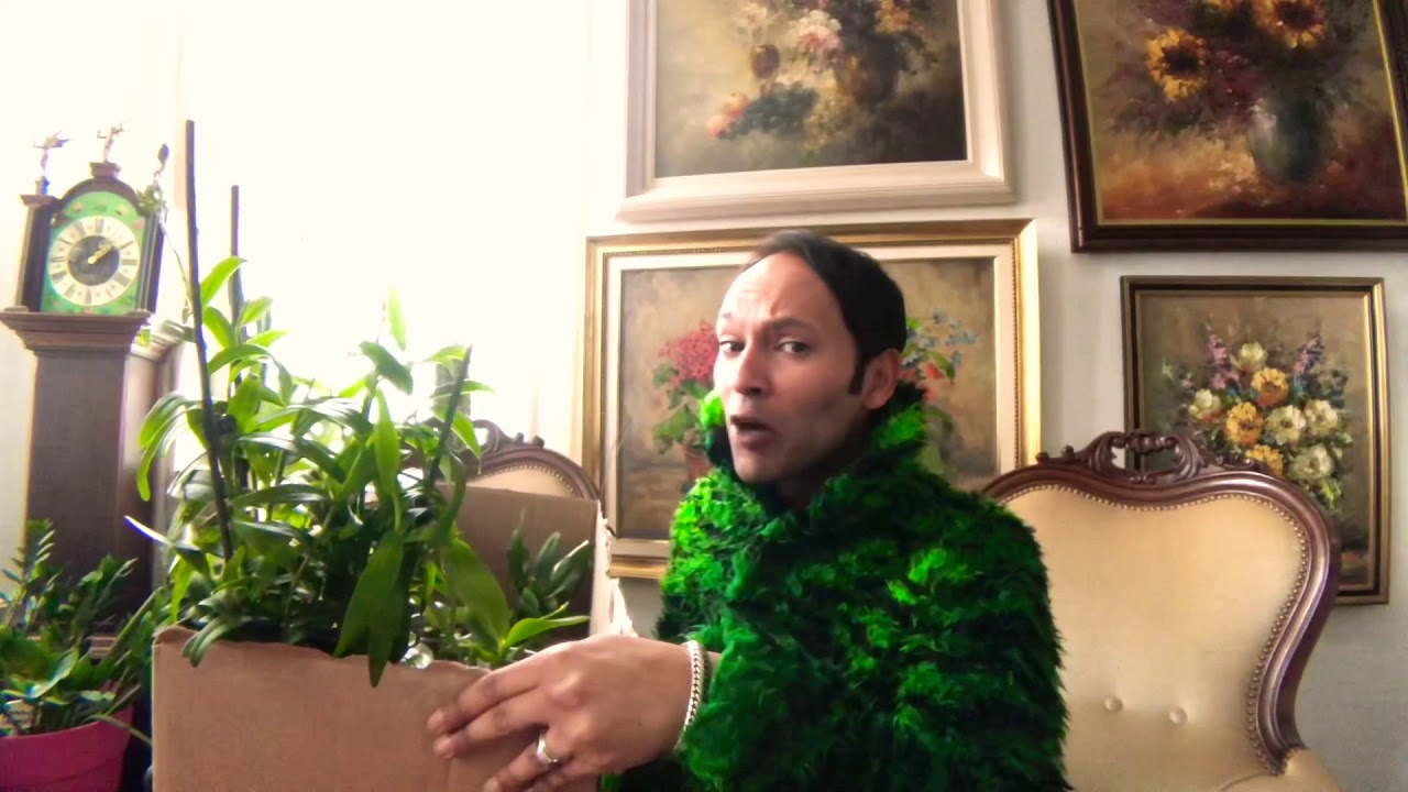 Feest! 🎉Nieuwe vette Orchideeën!! 😍💚