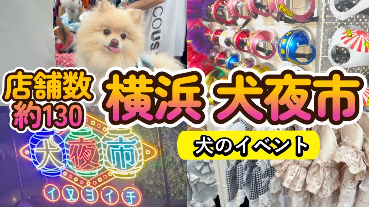 【犬イベント】横浜 犬夜市 超大型 店舗数約130‼️