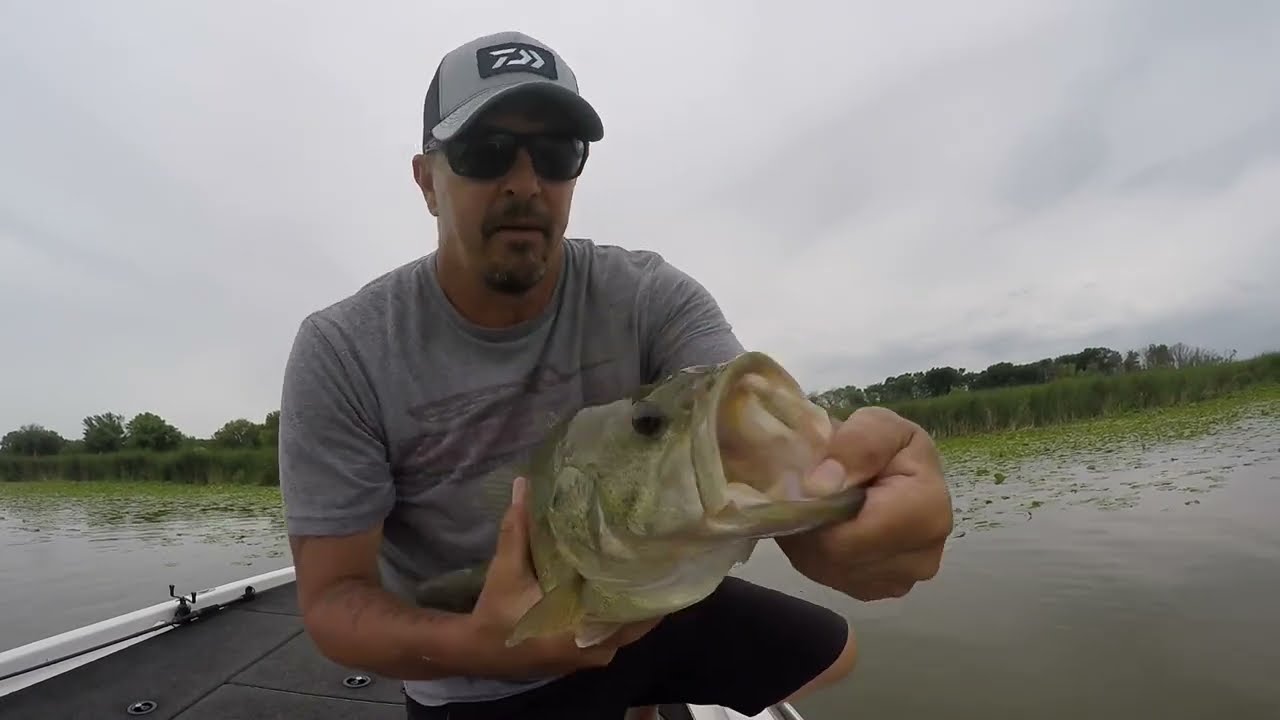 FOX LAKE laydown fishing 2022