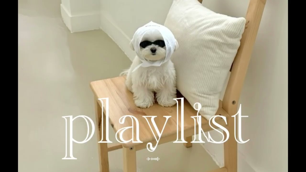 𝐏𝐥𝐚𝐲𝐥𝐢𝐬𝐭 “듣는 순간 기분이 UP!”🎧느좋 팝송 |  카페플리 · 매장음악 · mood · 노동요 · 공부 · 플레이리스트 |