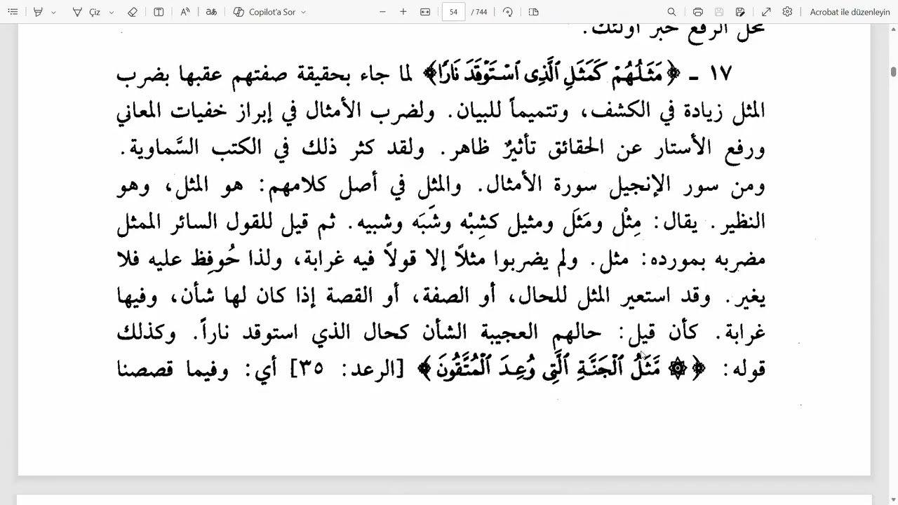 Nesefi Tefsiri (Bakara Suresi13)
