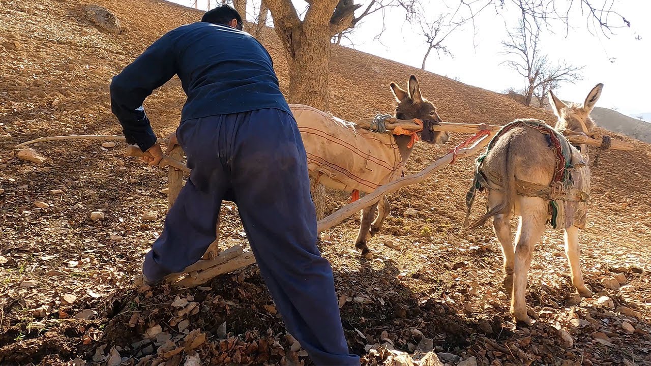 Village life - Traditional agriculture