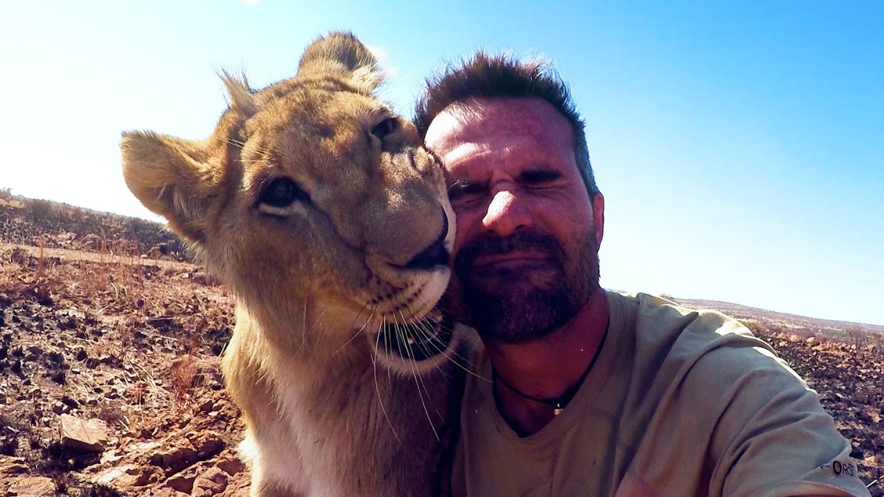 Rescued LION BROTHERS and Kevin Richardson | The Lion Whisperer