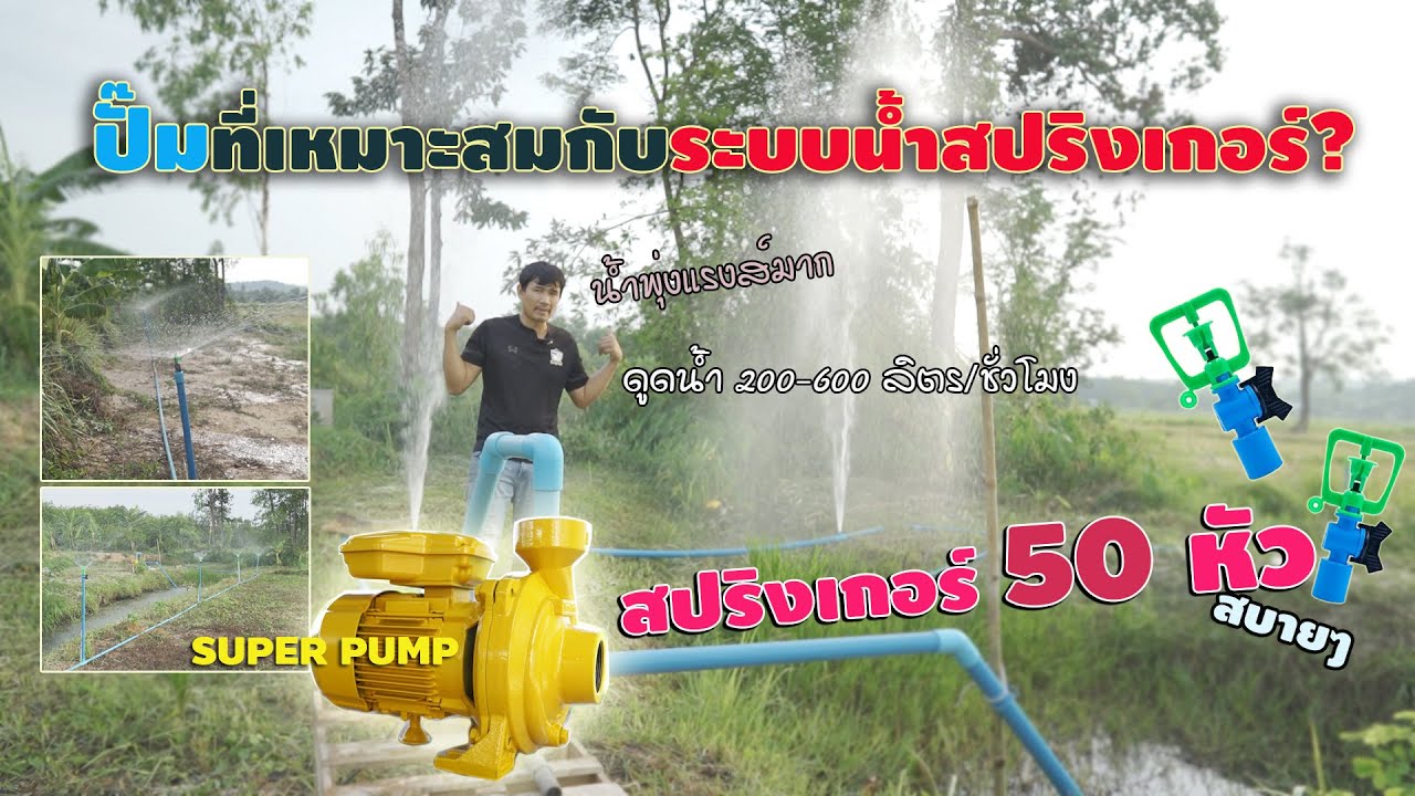 การวางระบบน้ำสปริงเกอร์ ต้องใช้ปั๊มน้ำกี่แรงส์? | วิถีไทบ้าน