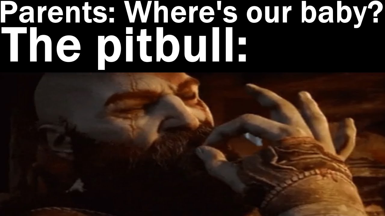 Nightly Juicy Memes 1388 + 1389