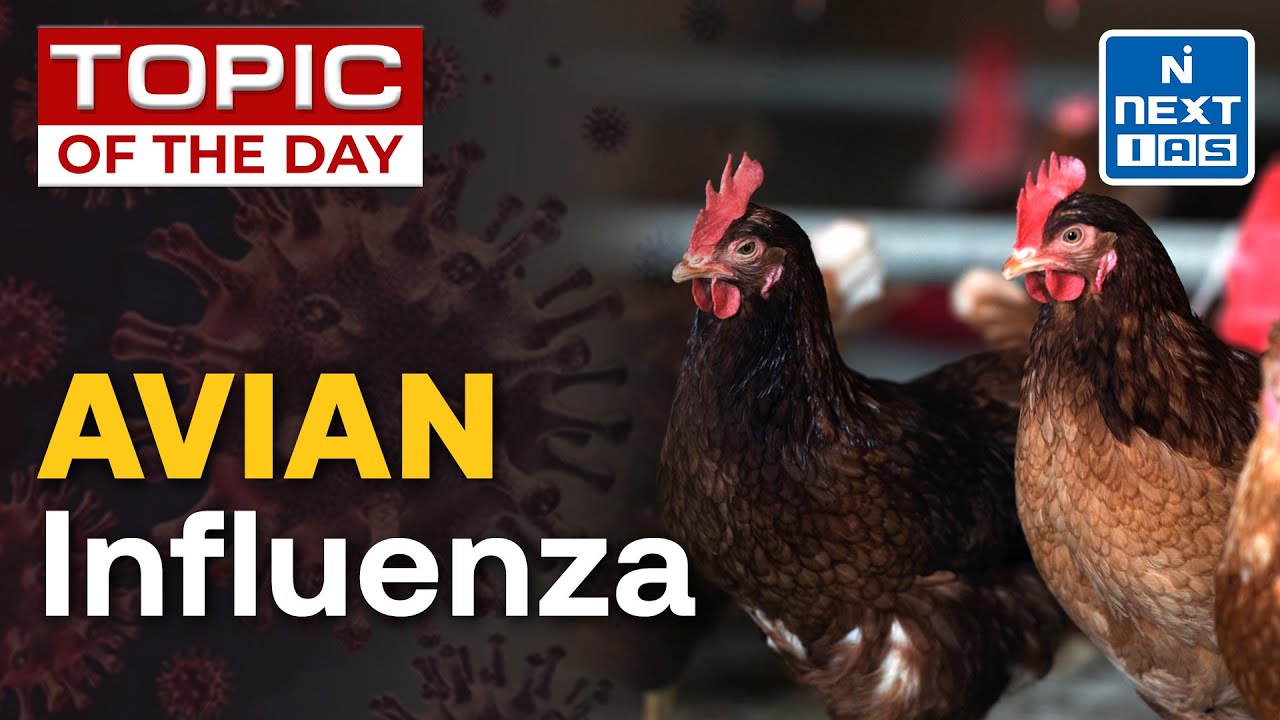 Bird-Flu (H5N1) Outbreak in the USA | What is Avian Influenza? UPSC Current Affairs | NEXT IAS