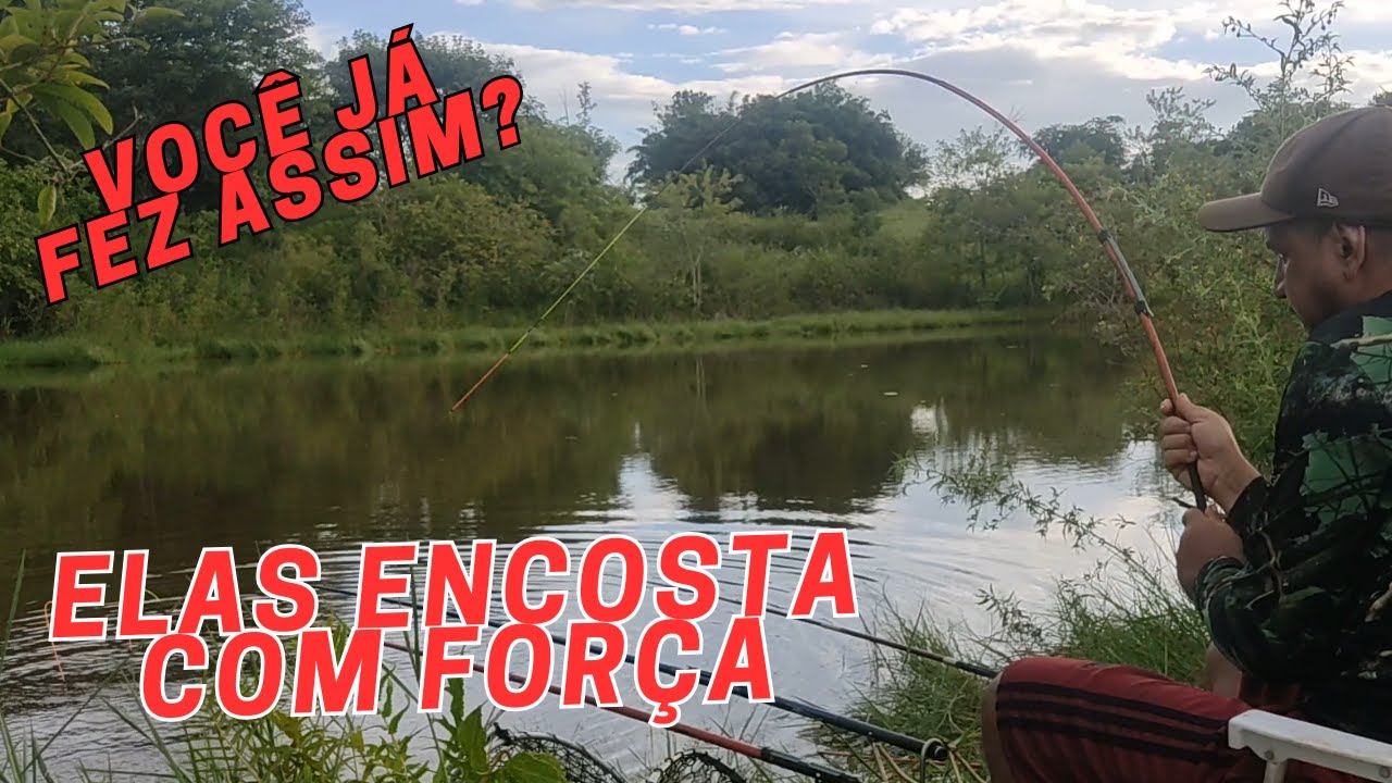 PESCAR TILAPIA É BEM SIMPLES, VEJA VOCE MESMO (#EXPEDIÇÃO)