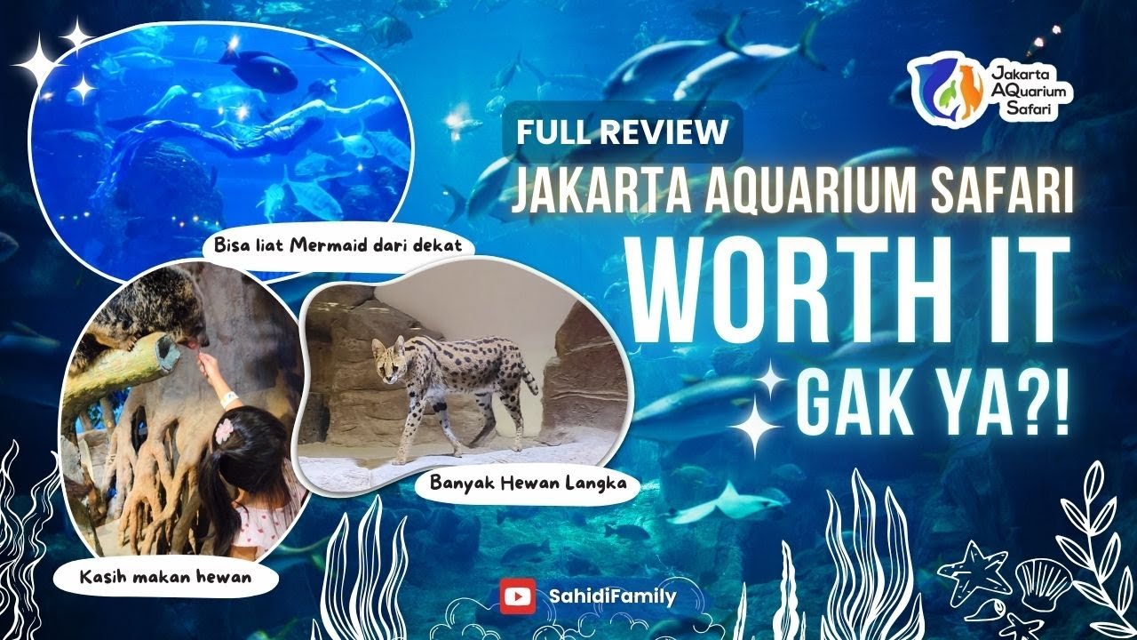 Is Jakarta Aquarium 2025 Best Place To Visit? [ Ticket Price - Choose Regular or premium tickets ?]