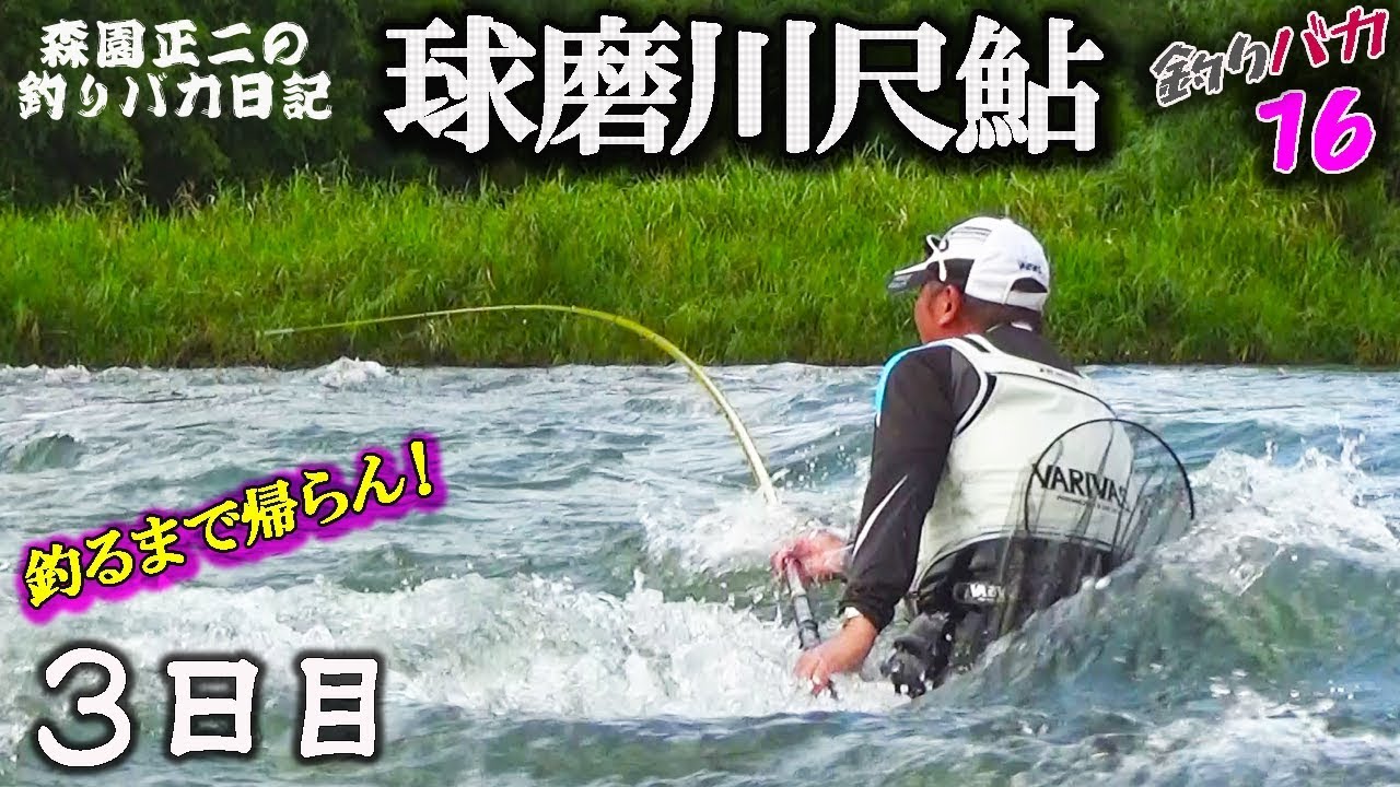 やるときゃやります【球磨川尺鮎】釣るまで帰らん！2019-3日目 森園正二の釣りバカ日記16-3 番外編