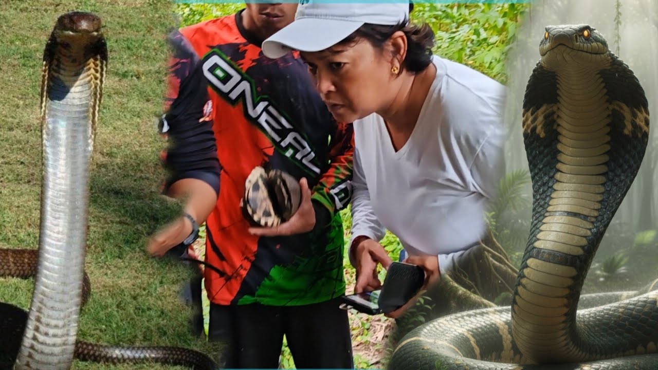 DAMBUHALANG COBRA ANG NAHULI NI COBRA PRINCE 
