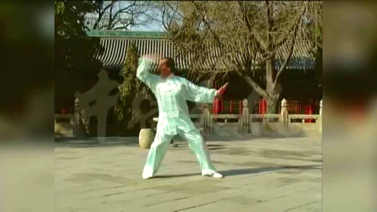 Xingyi Bashi 形意八式