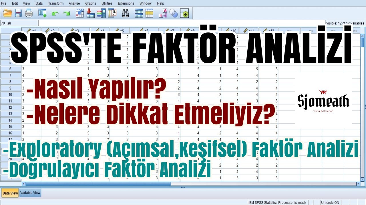 SPSS'te Faktör Analizi (Nasıl Yapılır? Nelere Dikkat Etmeliyiz?)