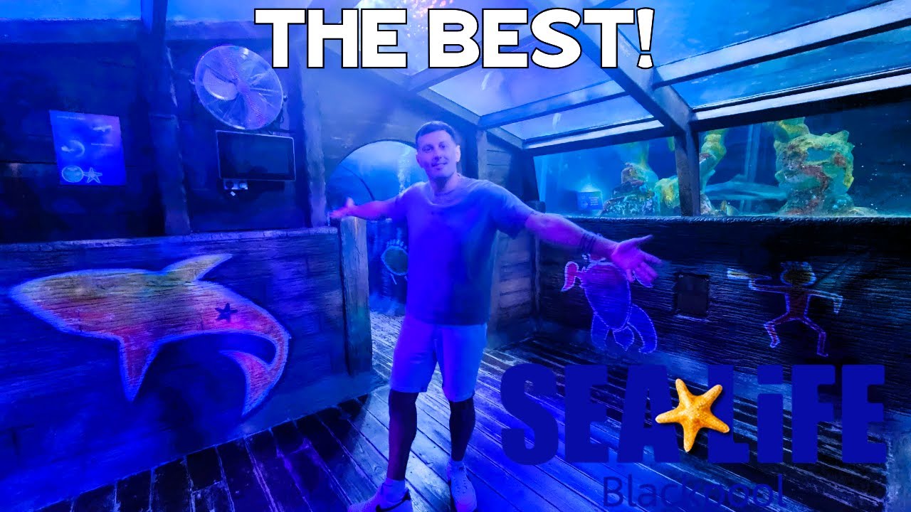 SEA LIFE Blackpool The BEST SEA LIFE!