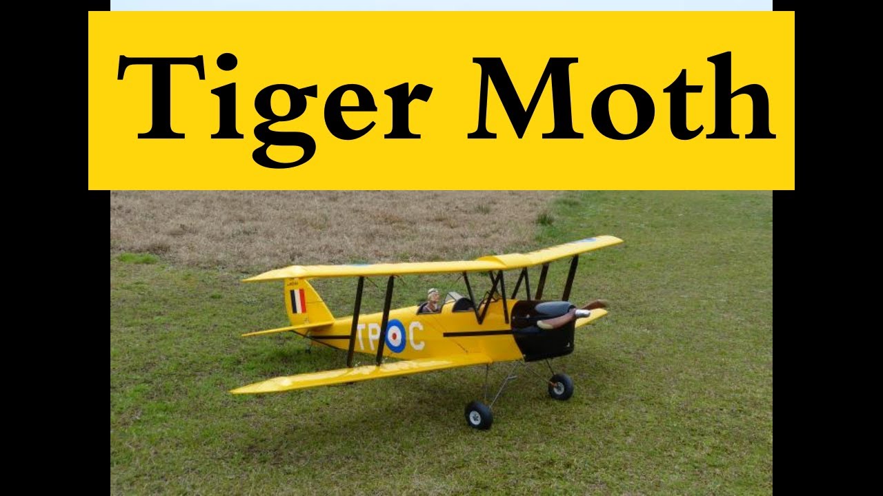 Great Planes Tiger Moth DH-82 Saito-125 At The 2022 Freeze Your Tail Feathers Event SMAC