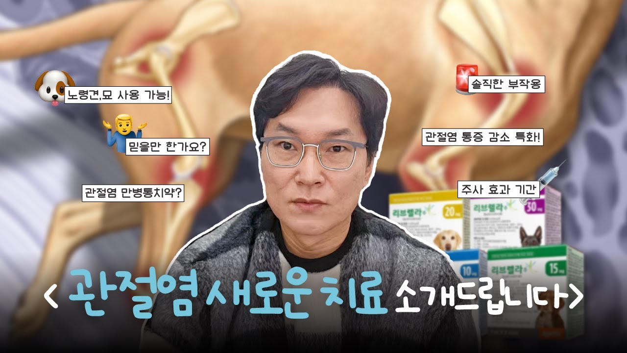 한 달에 한 번 주사로, 관절염 통증 없애기 💉