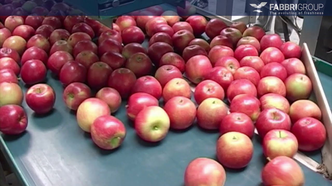 Fruit & Veg - Stretch - AUTOMAC 55Più