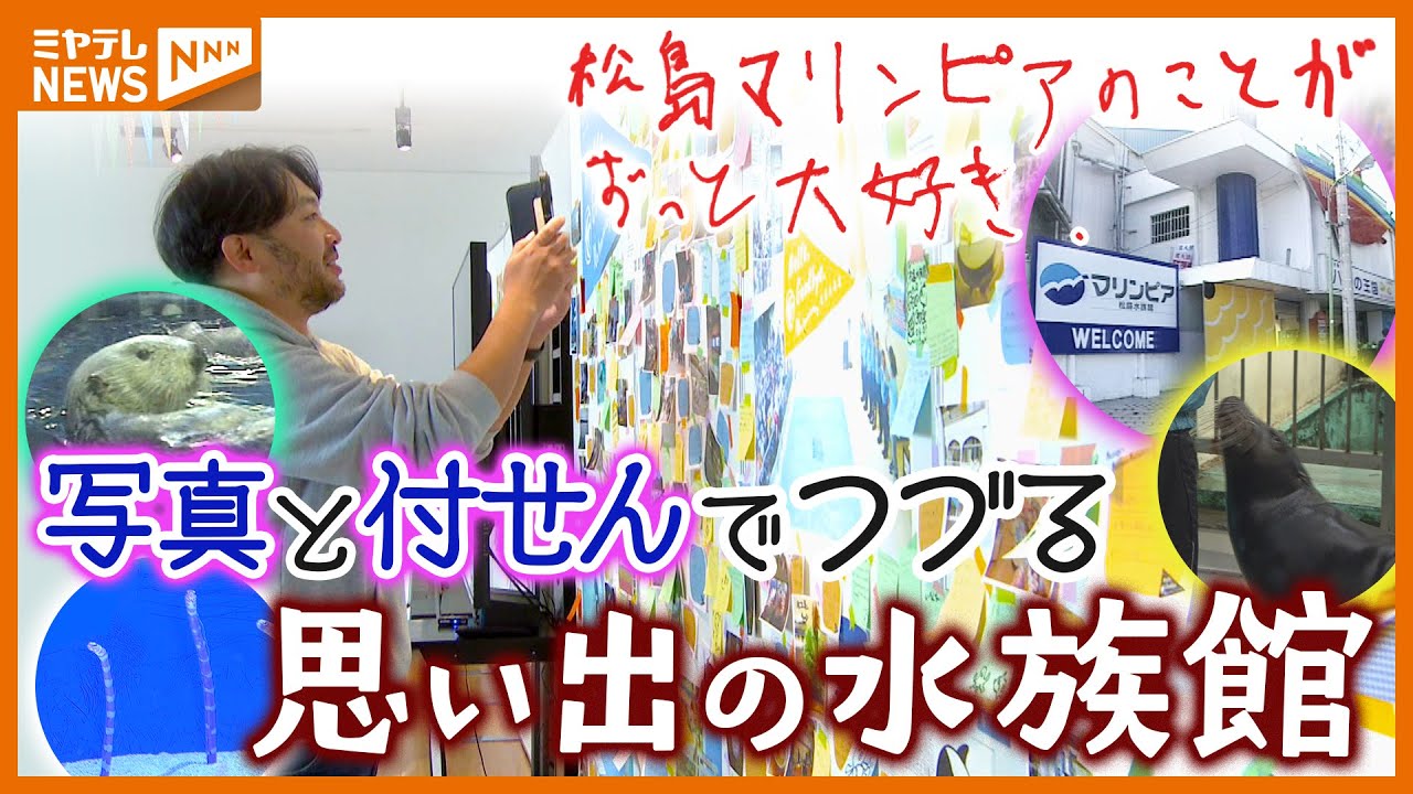 10年前に閉館『マリンピア松島水族館』、遠足やデートで訪れた当時を“写真と付箋”で振り返る（仙台うみの杜水族館）