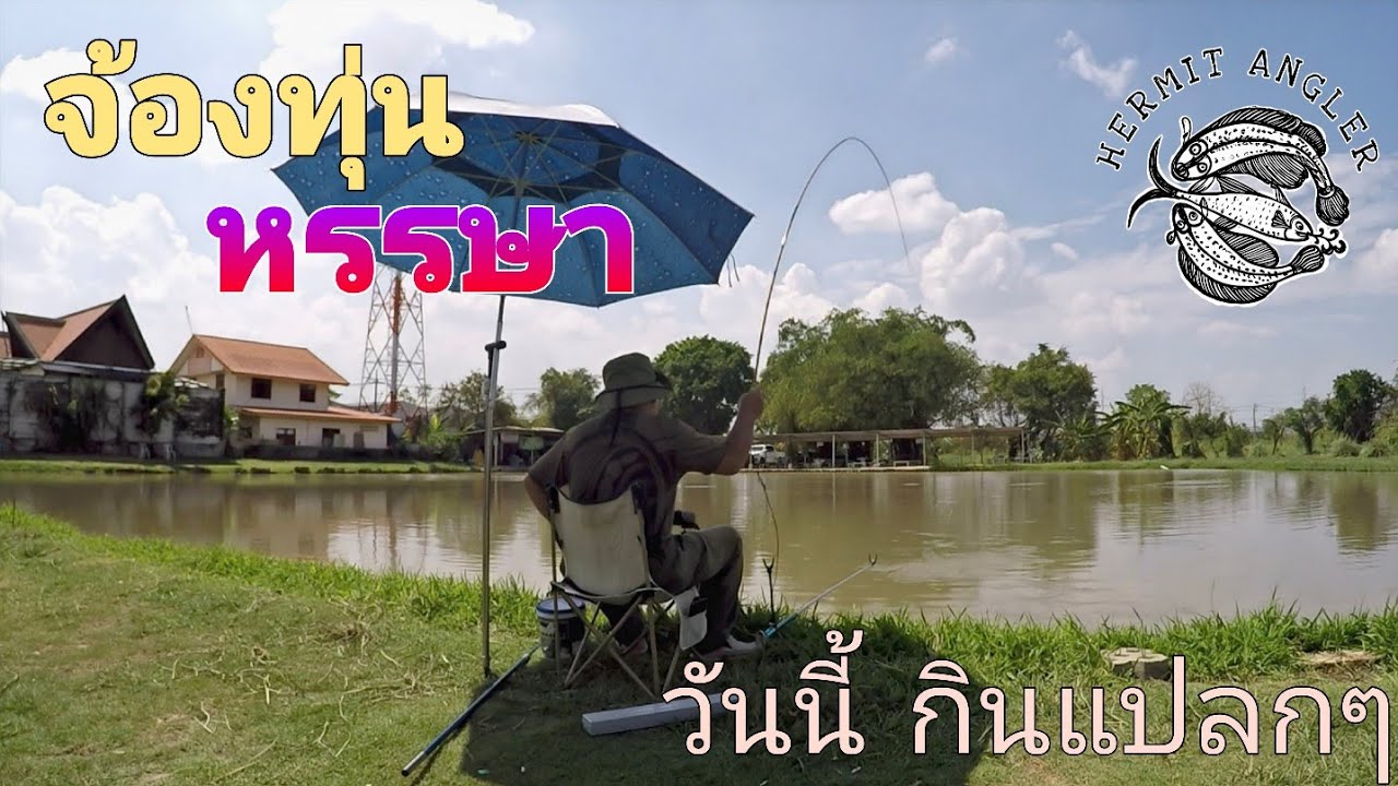 #จ้องทุ่นหรรษา : วันนี้ กินแปลกๆ