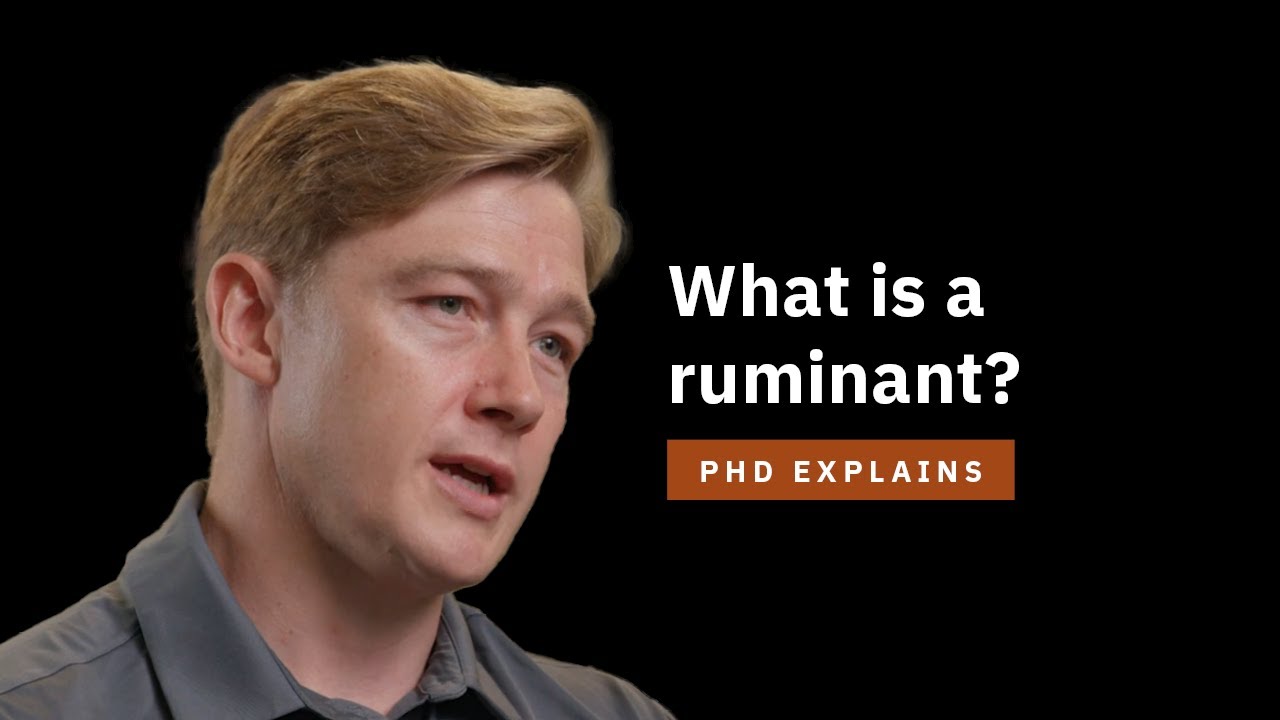 Part 2: Ruminant Animals and Methane | Understanding the Carbon Cycle on a Cattle Ranch