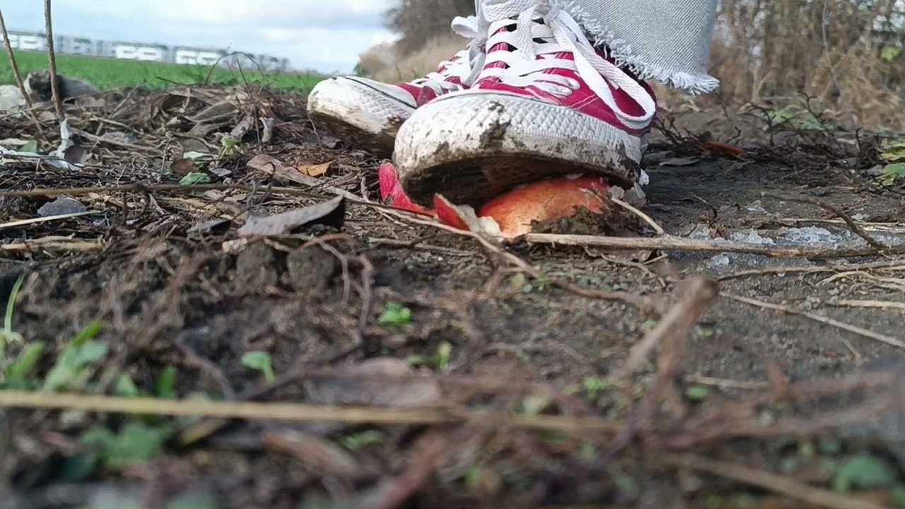 apple crush in Converse slippers