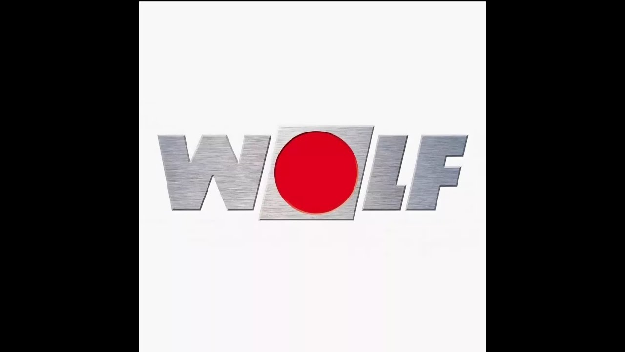 Wolf FGB 35 чистка разбор промывка ошибка Е04