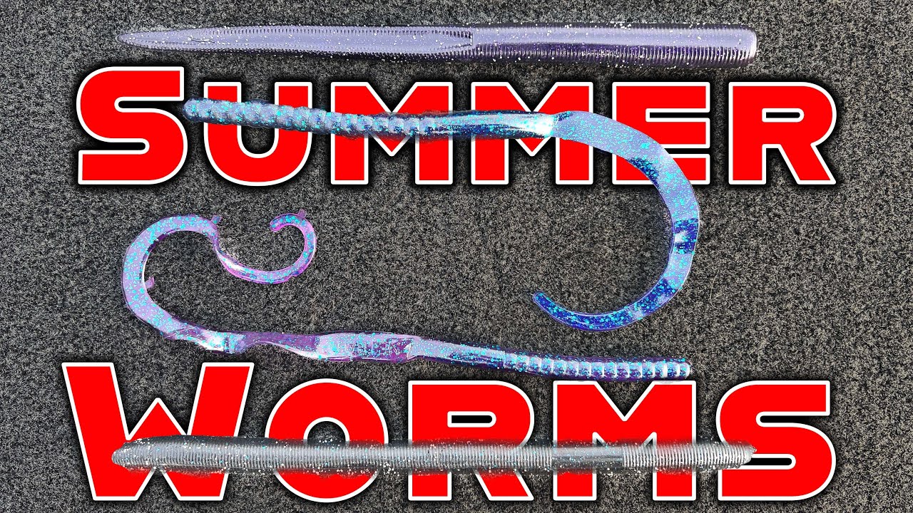 Big Worms for Summer Bass Fishing! (Texas Rig, Carolina Rig, Shaky Head)
