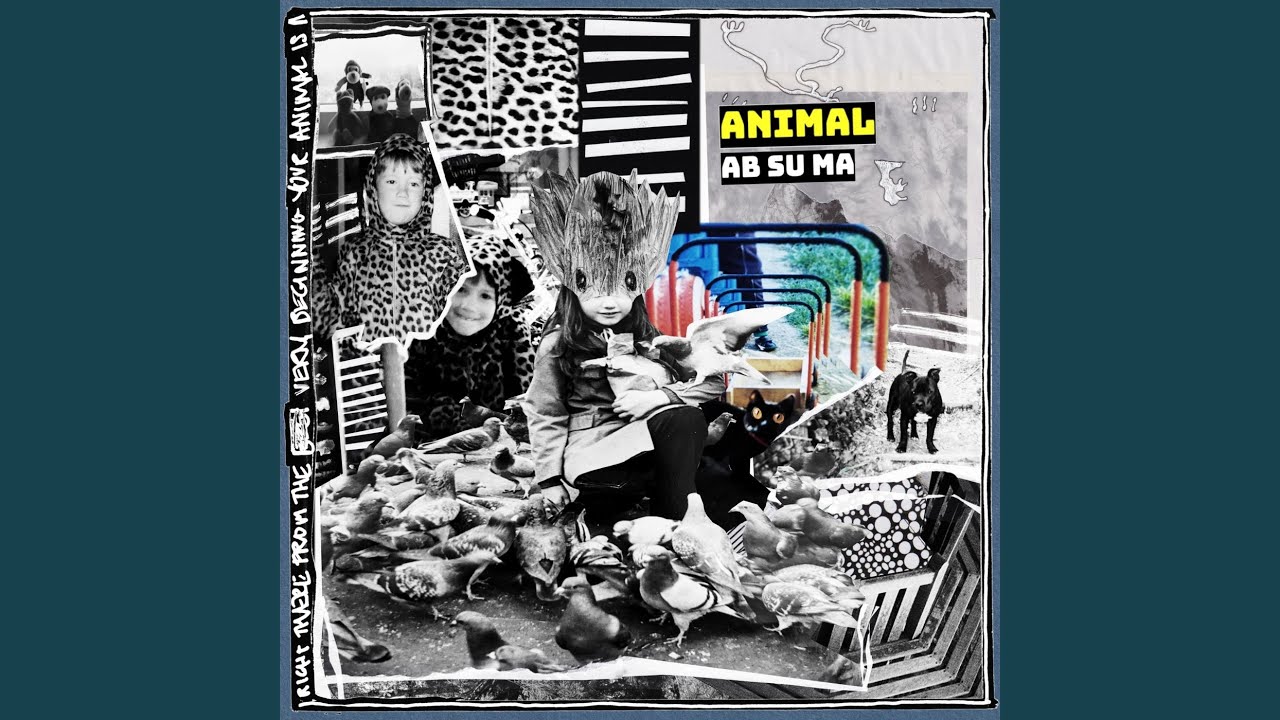 Animal