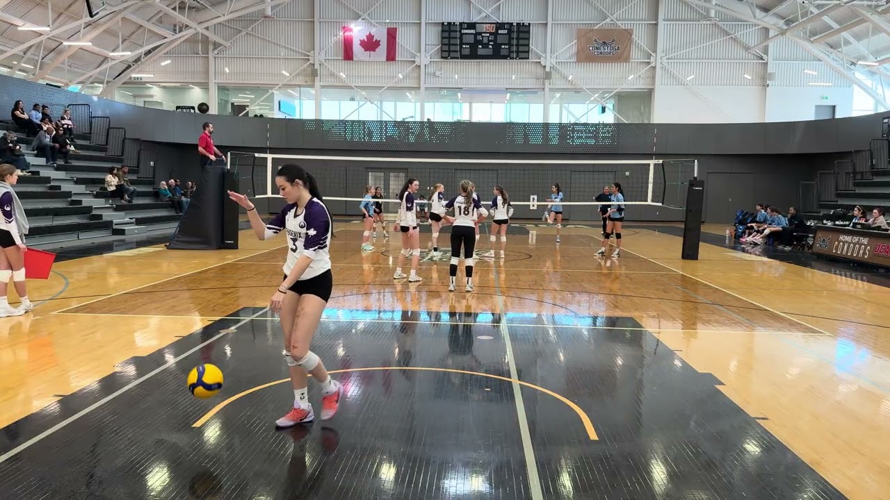 10 Milton Edge Storm vs Phoenix Dawn Set02 22-25 (1/4 Final)