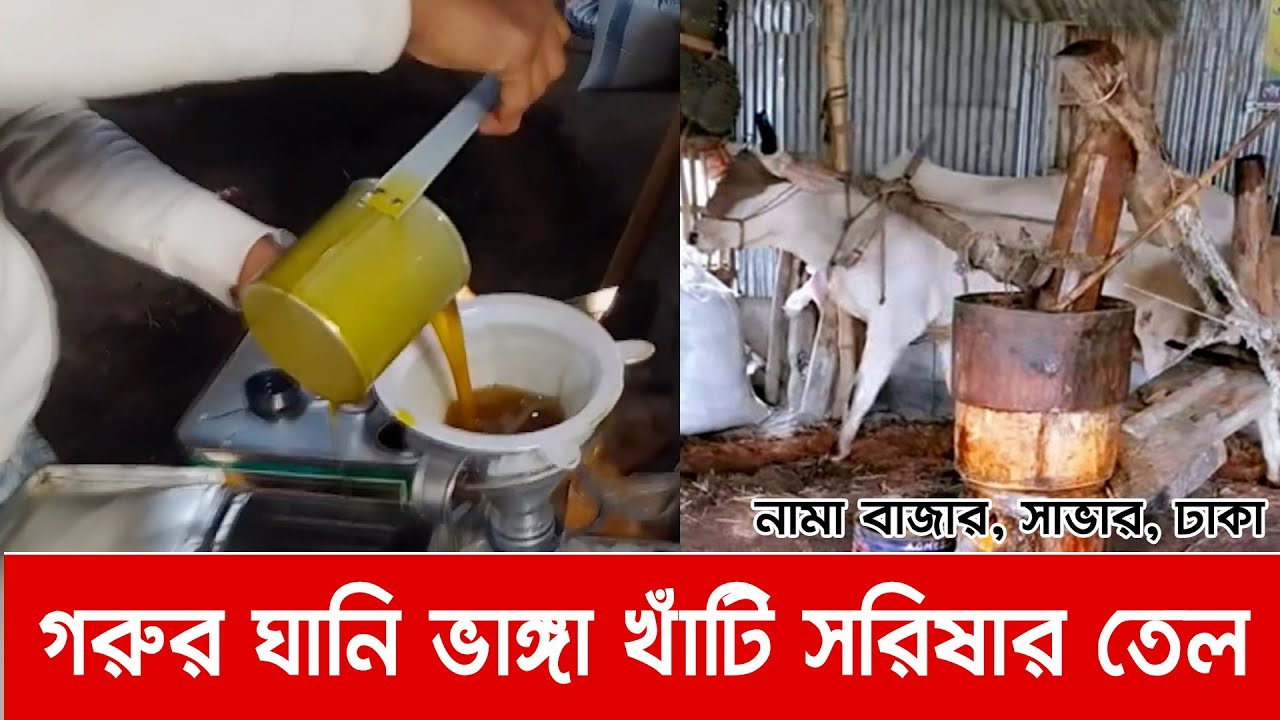 গরুর ঘানি ভাঙ্গা খাঁটি সরিষার তেল । নামা বাজার সাভার । PURE MUSTARD OIL | NAMA BAZAR, SAVAR