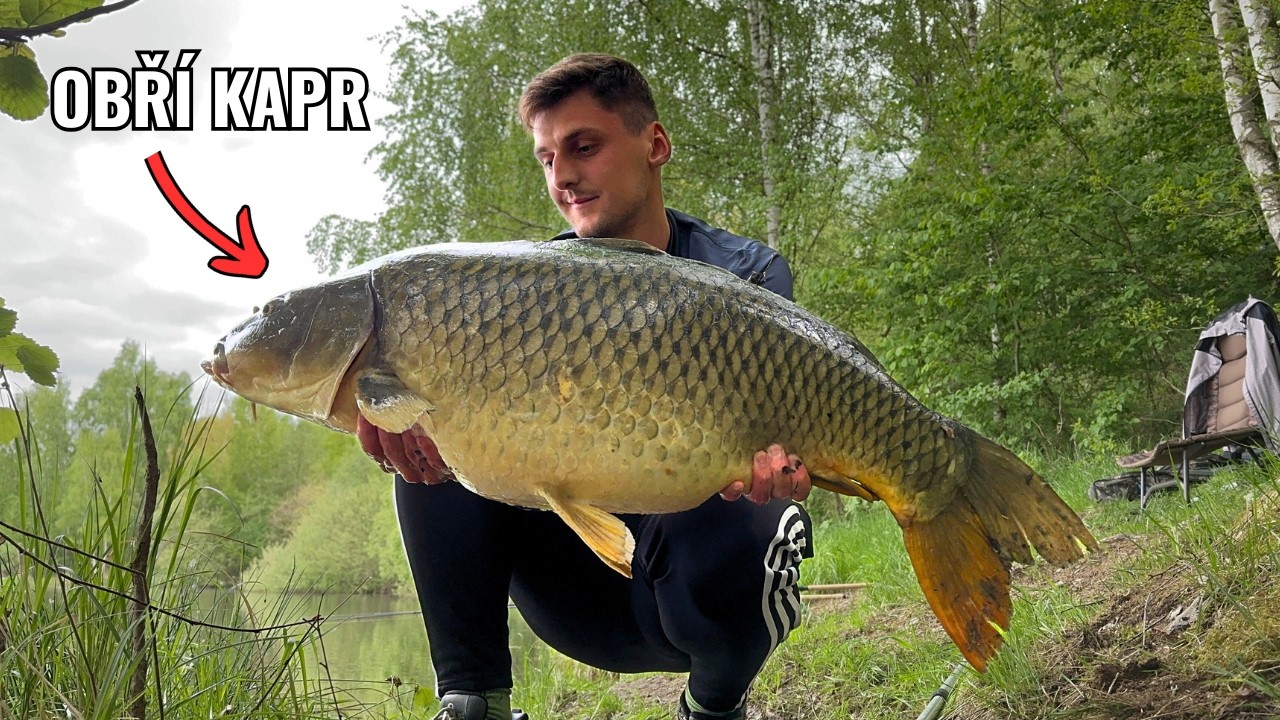 Zabral mi OBŘÍ kapr – největší ryba, co jsem zatím chytil! | Method kaprařina vs. rousnice