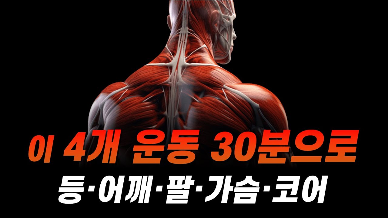 과학적으로 완성된 15세트 '맨몸 상체 운동' 루틴