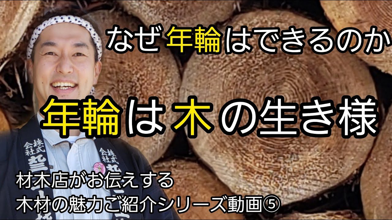 年輪は木の生き様そのもの【なぜ年輪はできるのか】材木店がお伝えする木材の魅力シリーズ⑤
