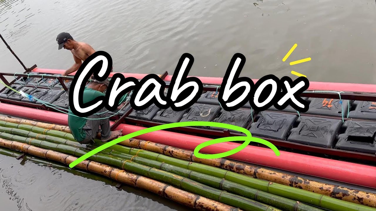 step by step on how to make a modern Crab fattening box