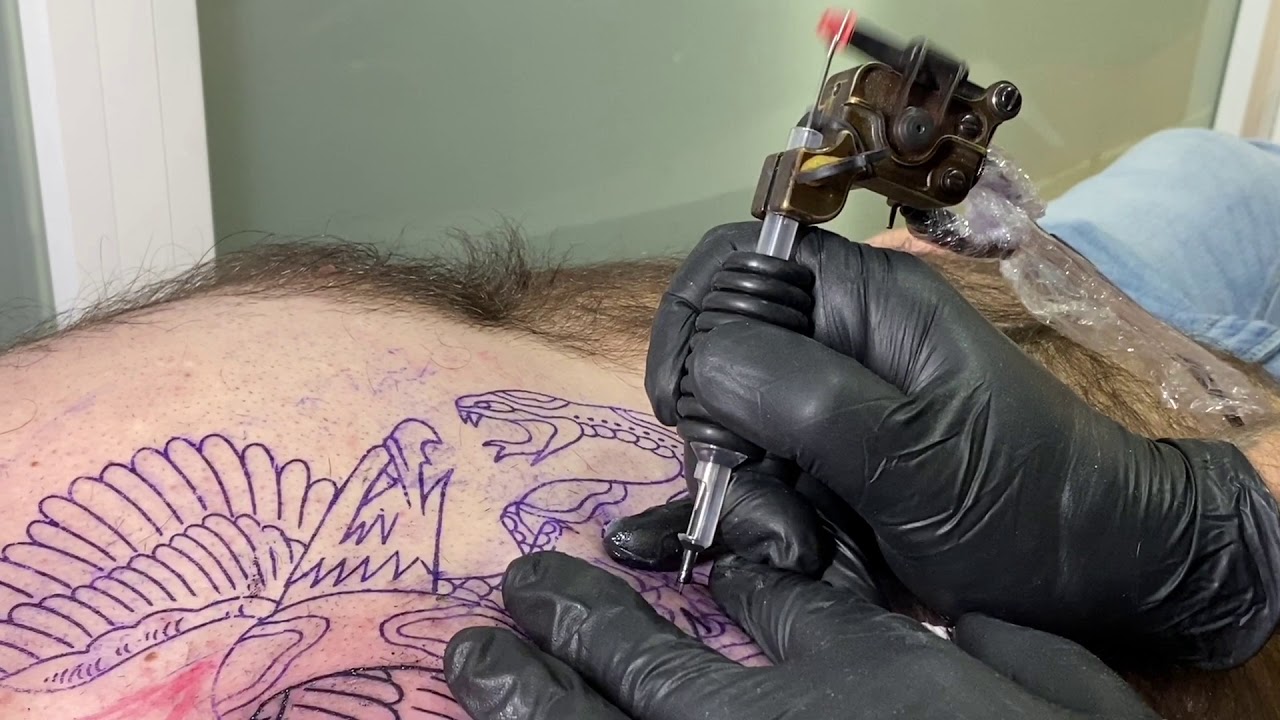 Eagle & Snake Traditional Tattooing