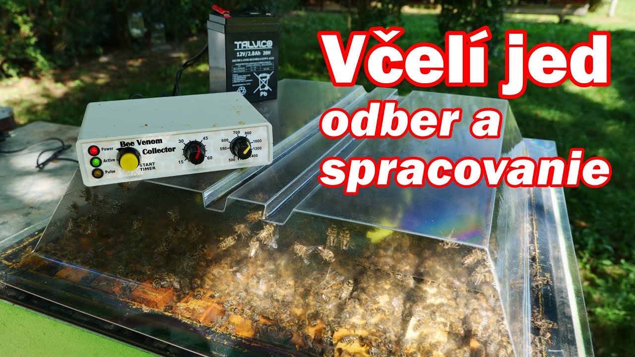 208. Včelí jed - zber a spracovanie