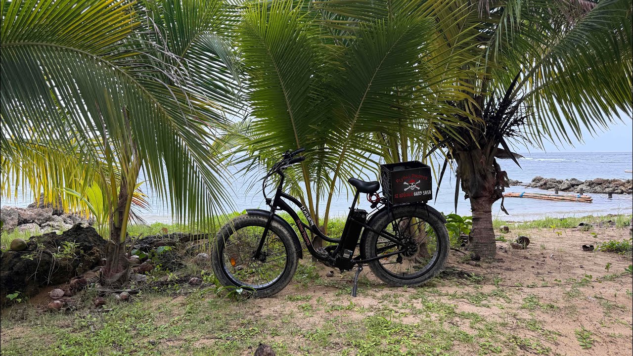 Beach Cruisin