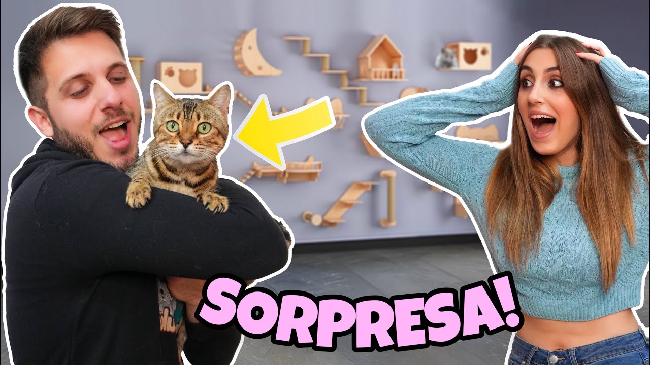 SORPRESA alla mia RAGAZZA: Creo un PARCO GIOCHI per GATTI! 😻🎁🙀 | MARTY E YUKO
