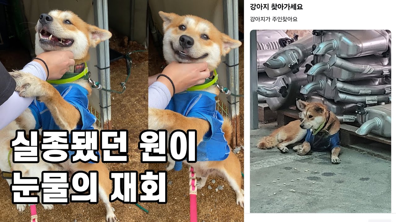 잃어버린 줄 알았던 원이, 눈물로 다시 만난 날