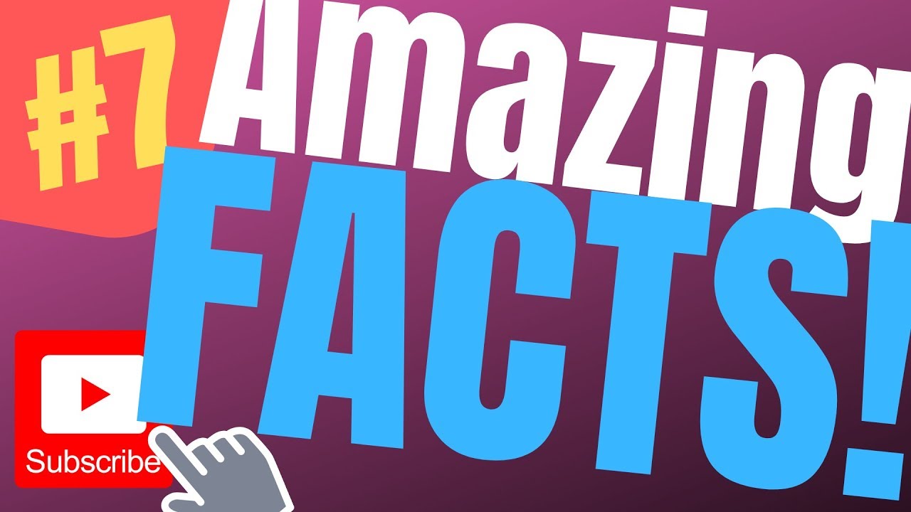 Random Fun Facts #7