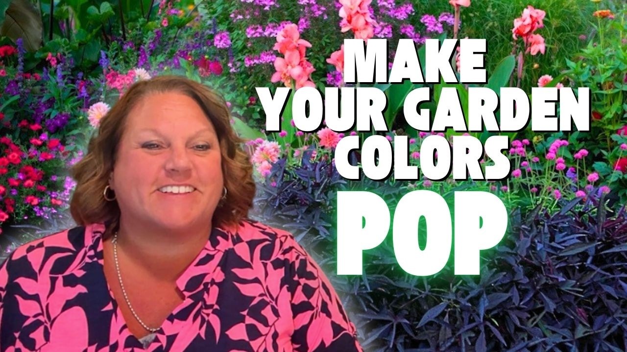 Dark Foliage Plants That Make Your Garden POP