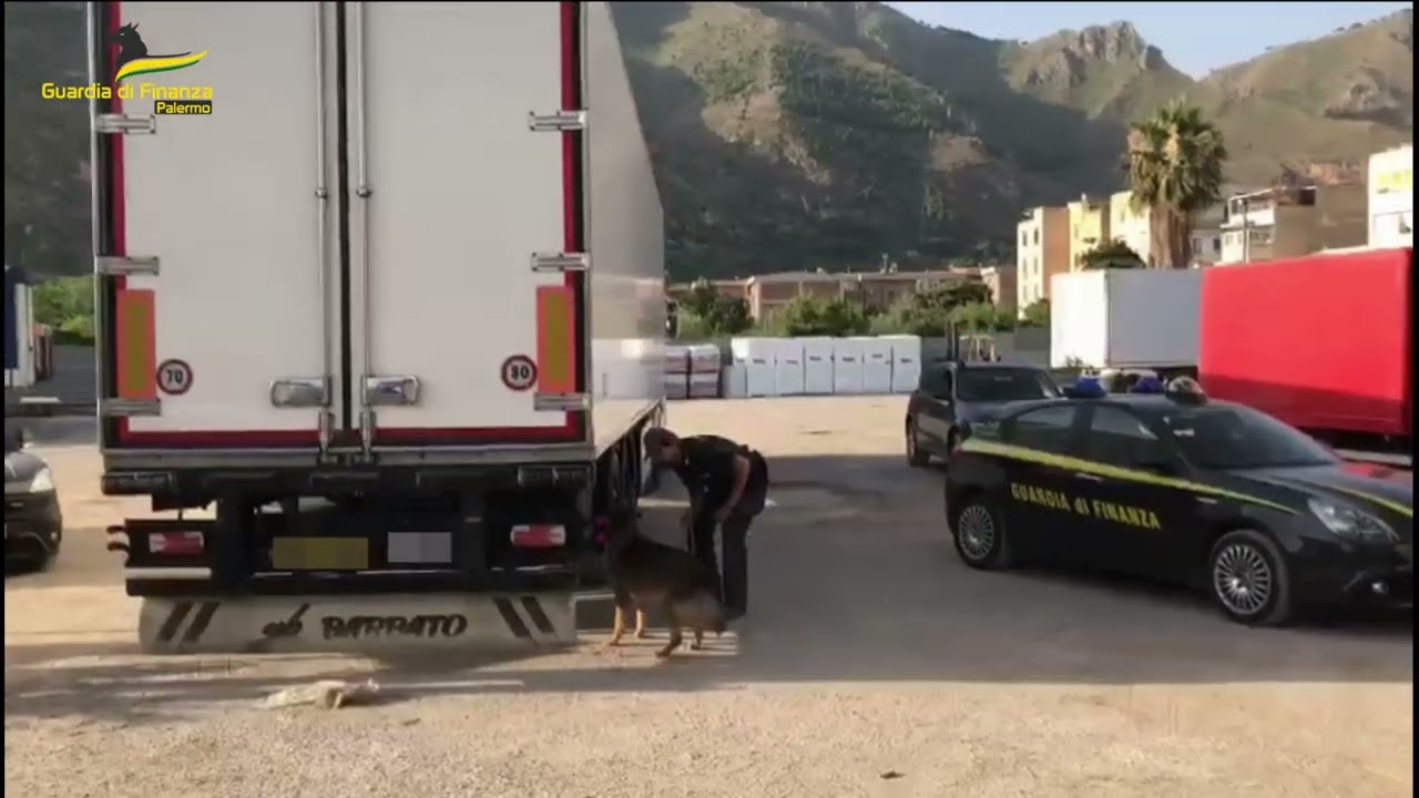 GDF Palermo