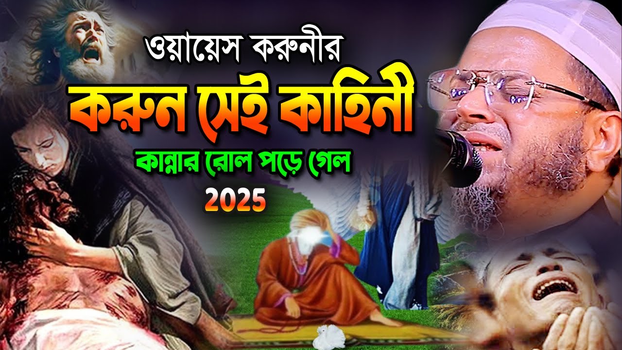 ওয়ায়েস করুনির ঘটনা শুনে অনেক মানুষ কান্নায় বেহুশ। নাসির উদ্দিন আনসারী ওয়াজ 2025, Nasir Uddin Ansari