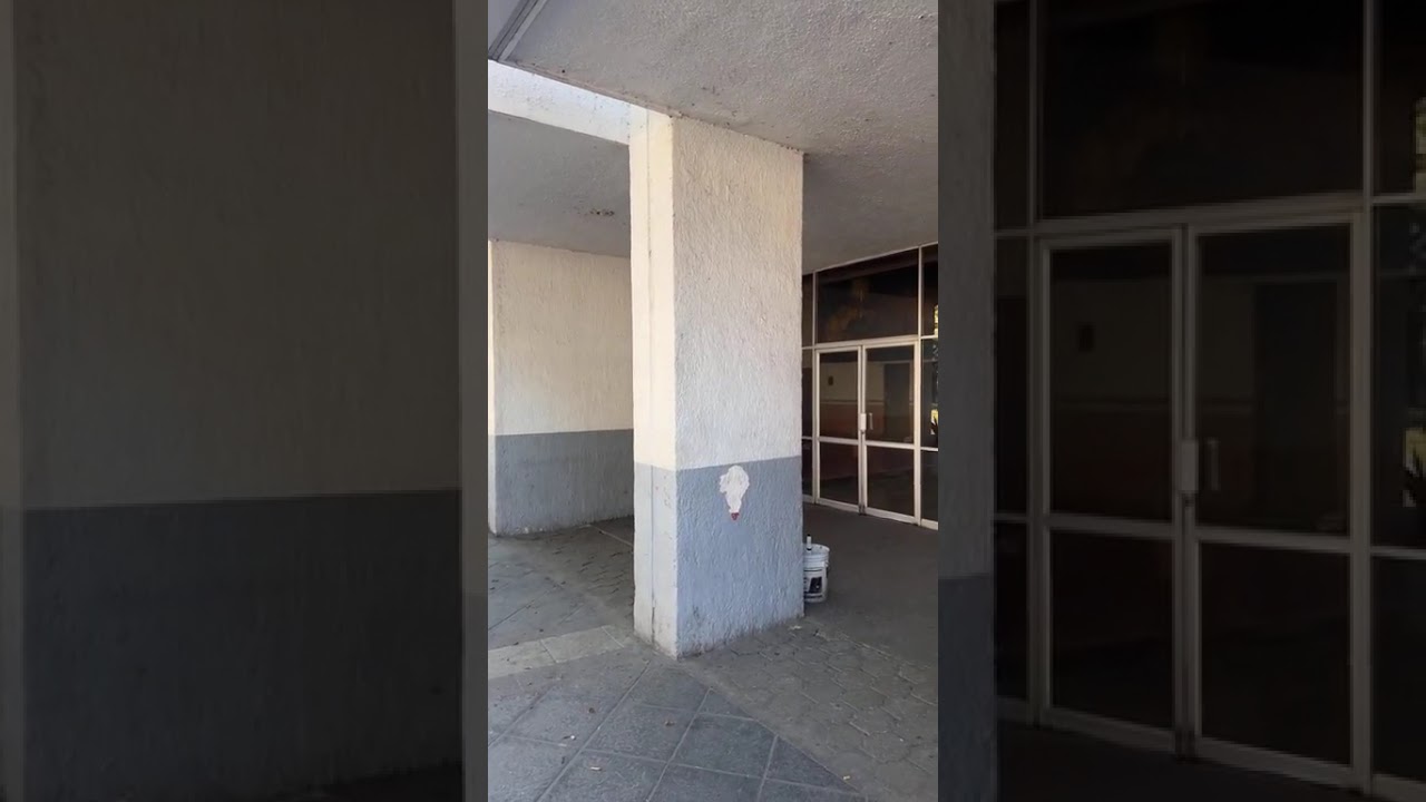 Así se vivió Chapala lunes 23 de febrero del 2026 después de lo sucedido