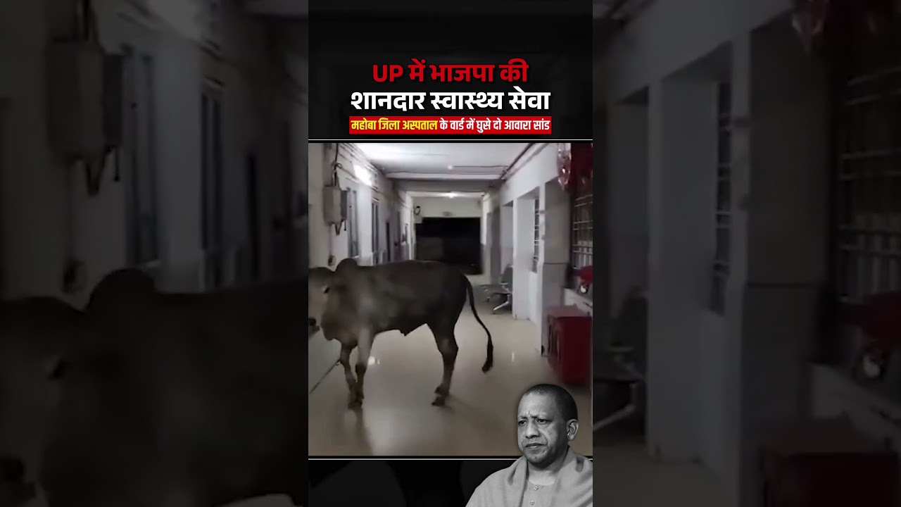 ये है BJP के राज में UP की स्वास्थ्य व्यवस्था का हाल! 😱☝🏻 #upnews #uphealthcare #yogi