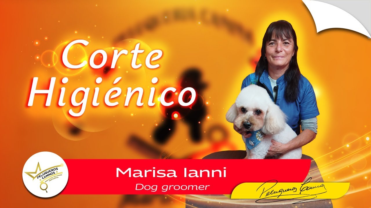 Corte Higiénico Peluquería Canina. Tips para realizar un correcto Corte Higiénico.
