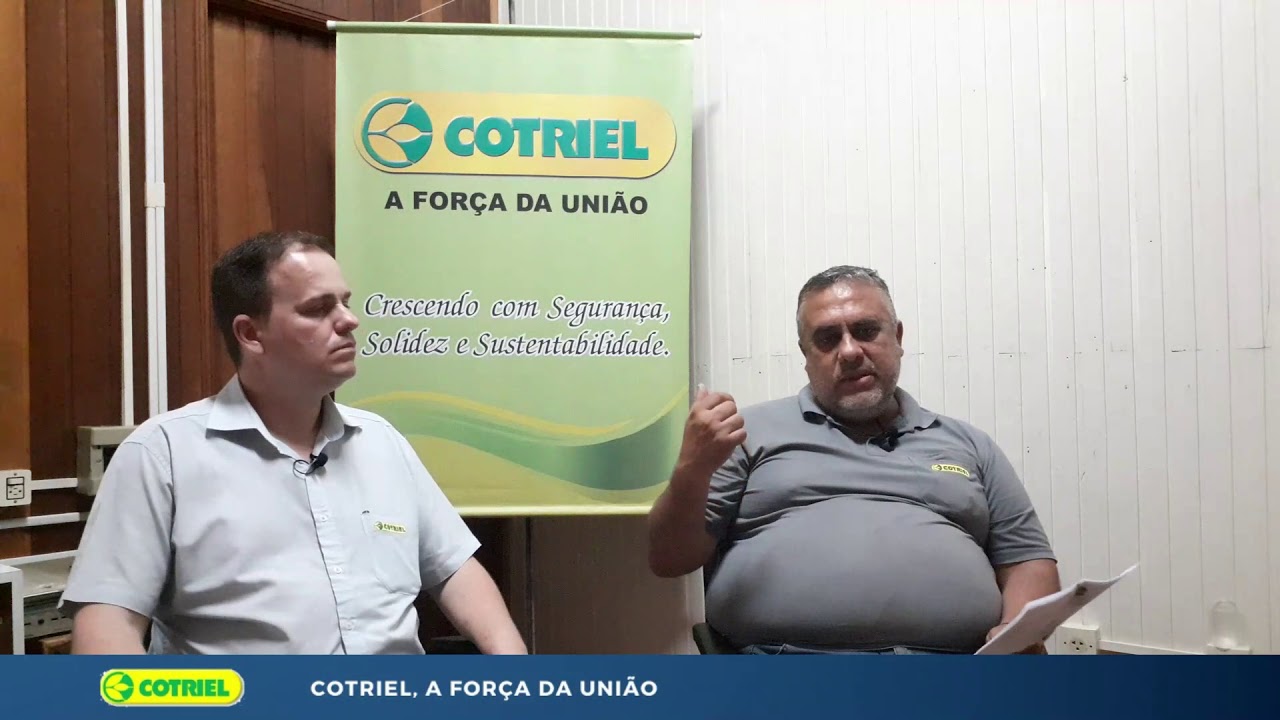 Manejo das vacas evita o Leite Instável Não Ácido - LINA