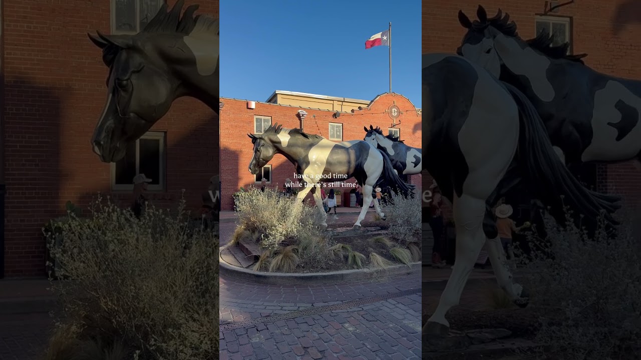 Fort Worth Texas Stock Yards! Subscribe & like for more! #fortworthtx #stockyards #placestovisit