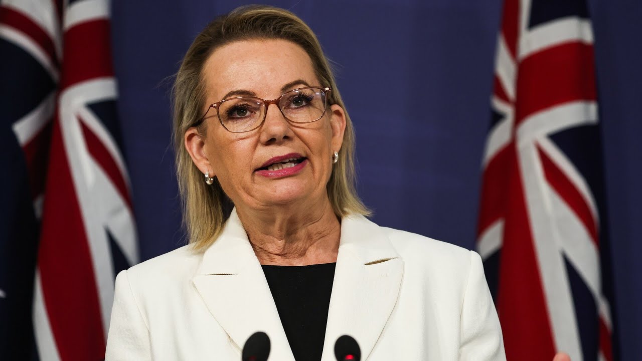 ‘If you incite violence, you’ll be deported’: Sussan Ley lashes PM over Royal Commission stalling
