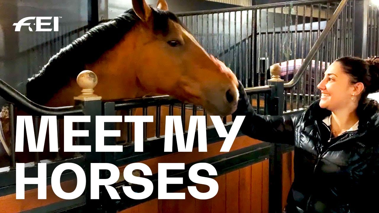 Dressage Trainer Natasha Althoff: My Horses, my Story & how to improve your Riding | Guest Vlog